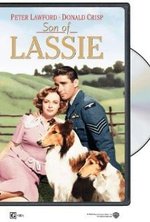 Watch Son of Lassie online free. Son of Lassie poster